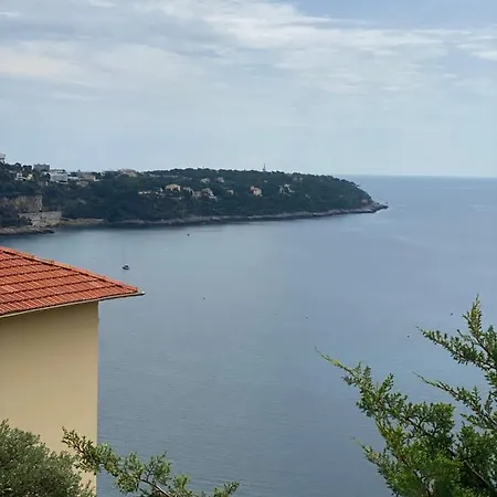 Magnifique Avec Piscine Privee Vue Mer Proche Monaco Apartment