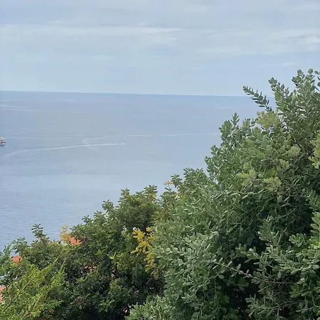 Magnifique Avec Piscine Privee Vue Mer Proche Monaco * 로퀴에브륀캡마르탱